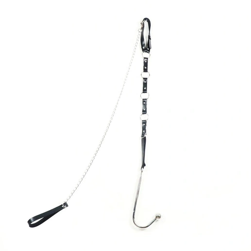 EverydayUse Kinky Hook with 5853 Leash Collar and Anal 1217